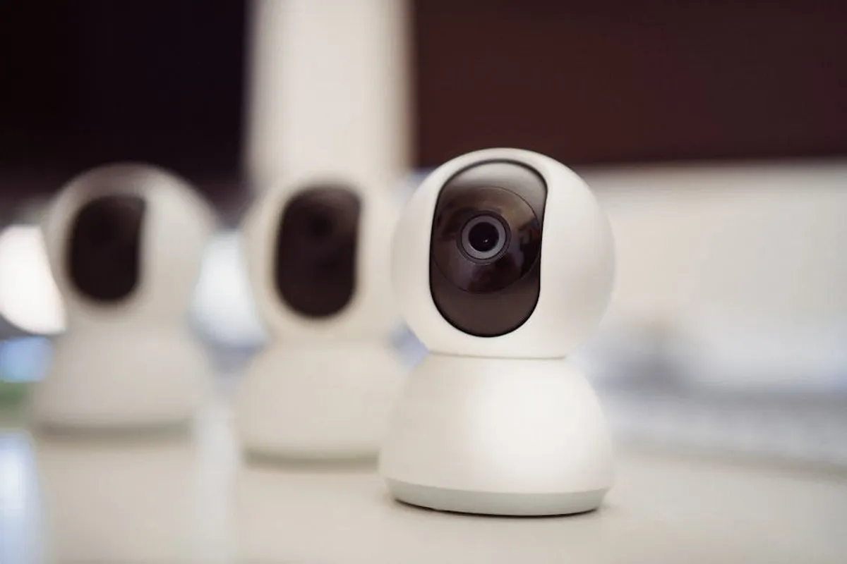 Best Budget Cameras